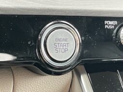 
										Kia Carnival full									