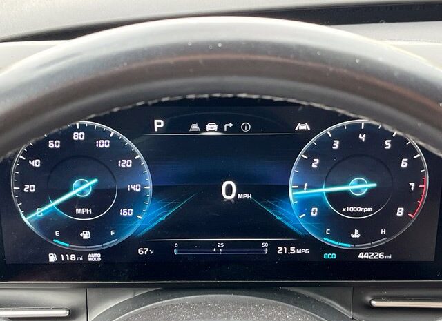 
								Kia Carnival full									