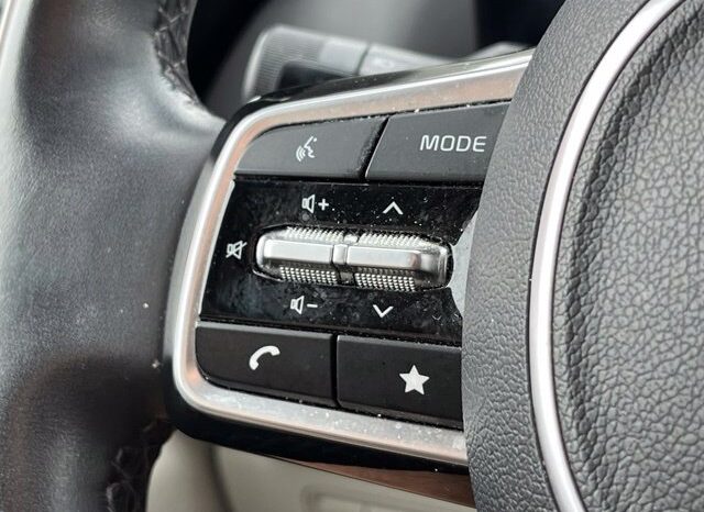 
								Kia Carnival full									