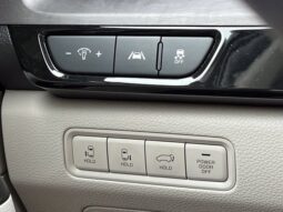 
										Kia Carnival full									