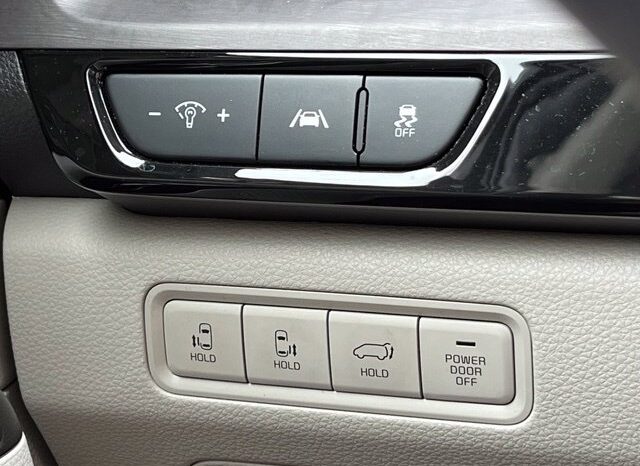 
								Kia Carnival full									