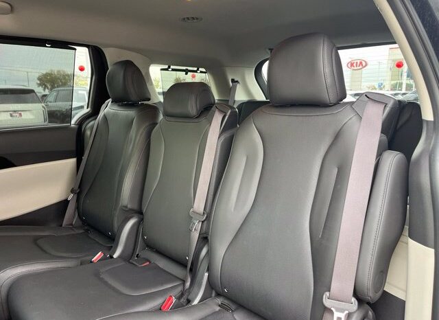 
								Kia Carnival full									