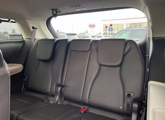 
								Kia Carnival full									