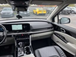 
										Kia Carnival full									