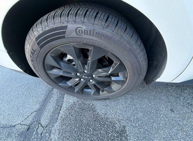 
								Kia Carnival full									
