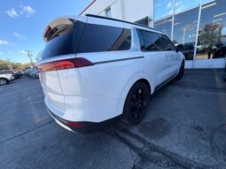 
										Kia Carnival full									