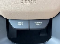 
										Kia Telluride Hybrid full									