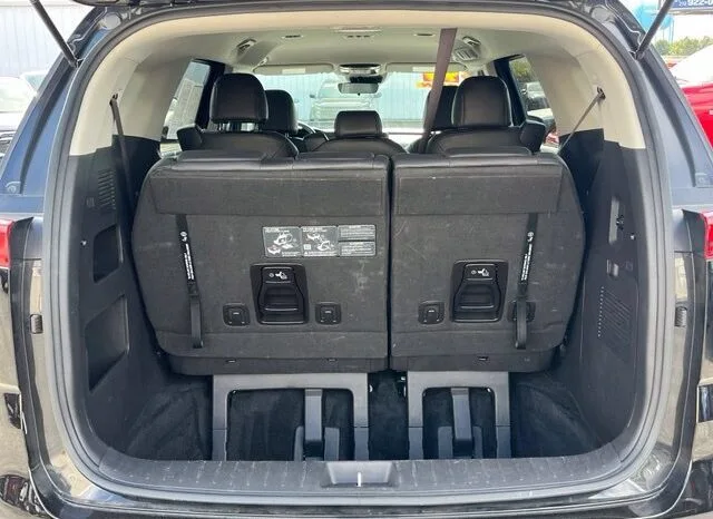 
								Kia Carnival full									