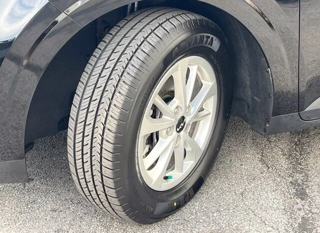 
								Kia Carnival full									