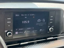 
										Kia Carnival full									