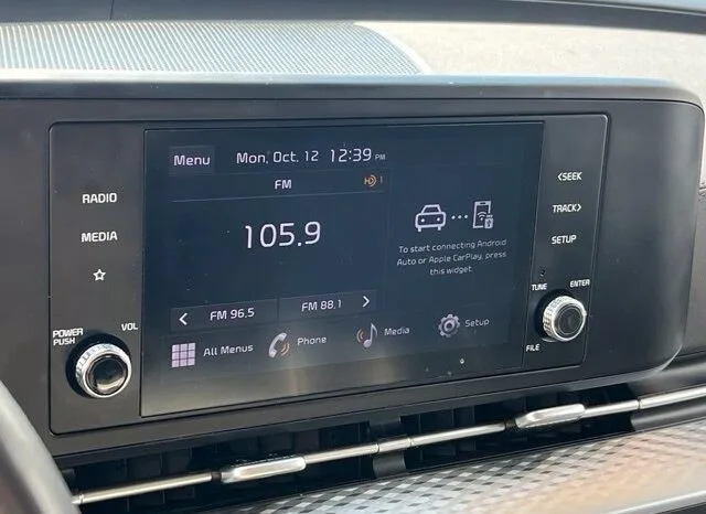 
								Kia Carnival full									