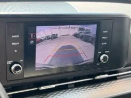 
										Kia Carnival full									