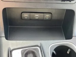 
										Kia Carnival full									