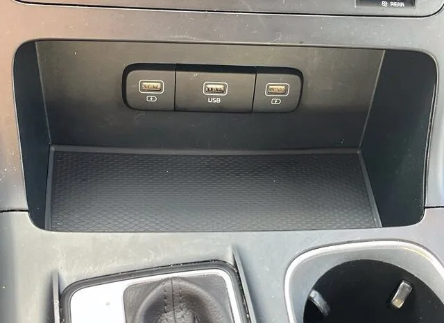 
								Kia Carnival full									