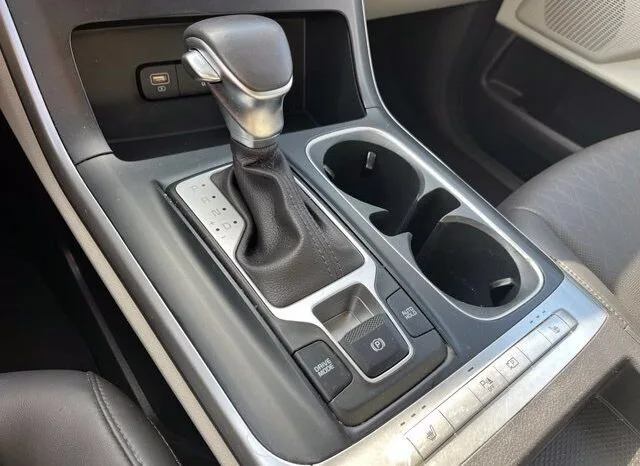 
								Kia Carnival full									