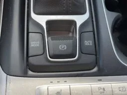 
										Kia Carnival full									