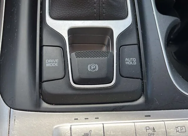 
								Kia Carnival full									