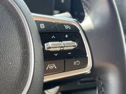 
										Kia Carnival full									