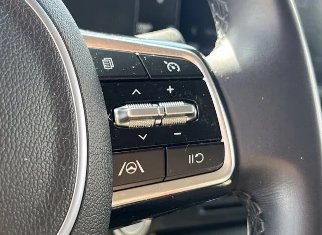 
								Kia Carnival full									