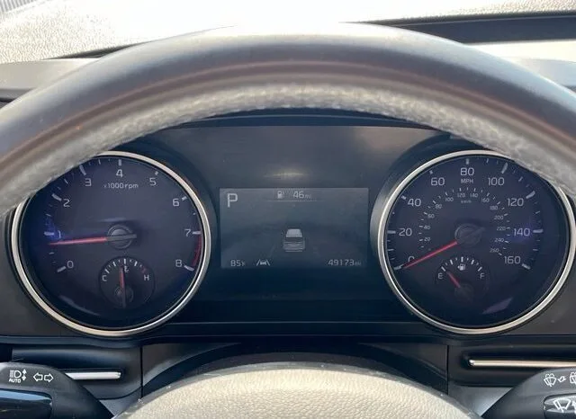 
								Kia Carnival full									