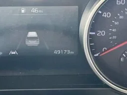 
										Kia Carnival full									