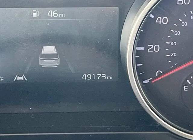 
								Kia Carnival full									