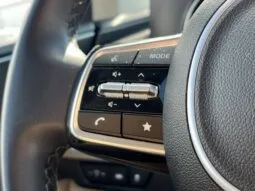 
										Kia Carnival full									