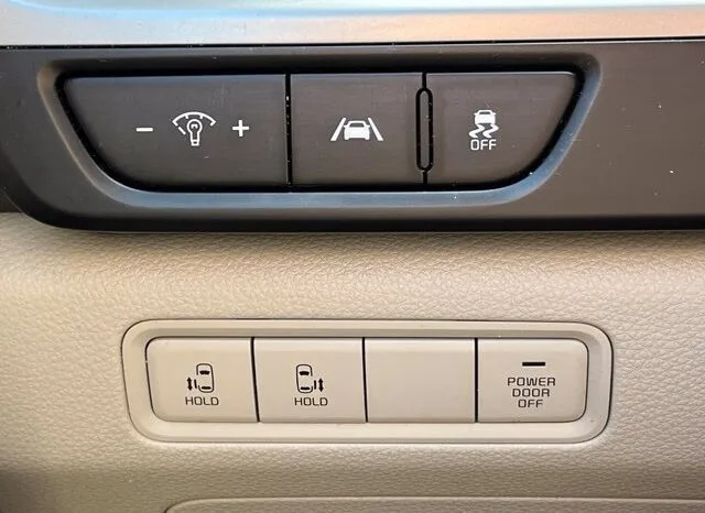 
								Kia Carnival full									