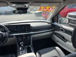 
										Kia Carnival full									