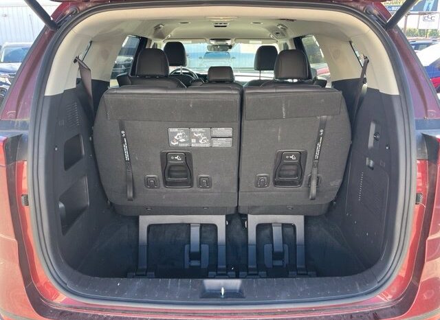 
								Kia Carnival full									