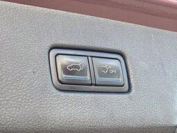
										Kia Carnival full									