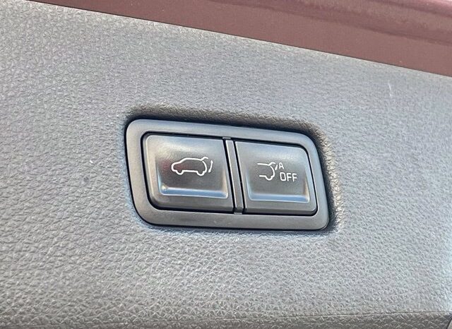 
								Kia Carnival full									