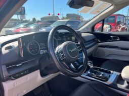 
										Kia Carnival full									
