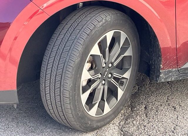 
								Kia Carnival full									