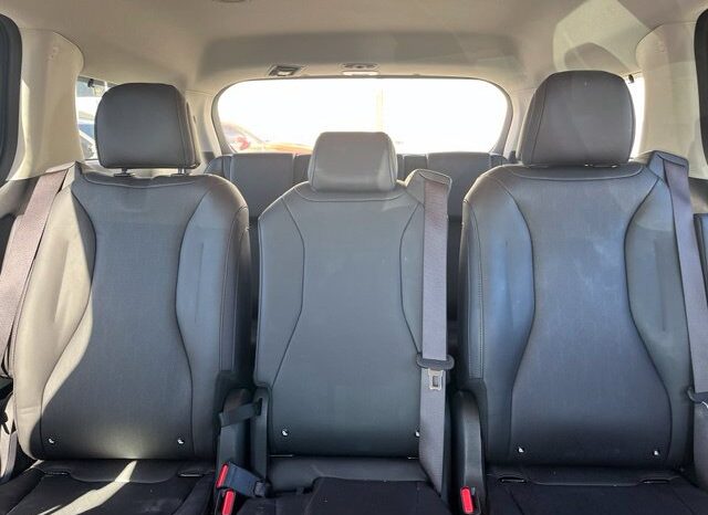 
								Kia Carnival full									