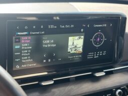 
										Kia Carnival full									