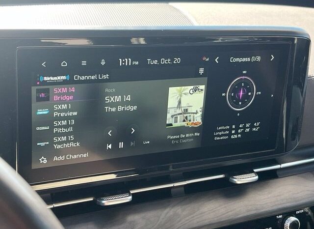 
								Kia Carnival full									