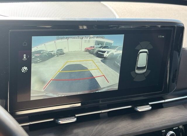 
								Kia Carnival full									