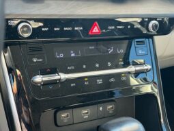 
										Kia Carnival full									