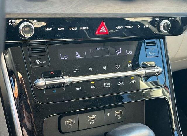 
								Kia Carnival full									