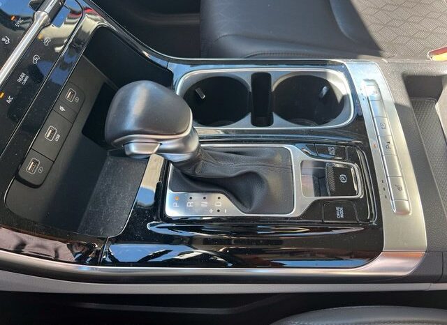 
								Kia Carnival full									