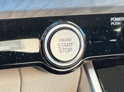 
										Kia Carnival full									