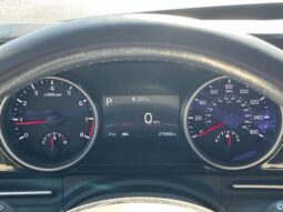 
										Kia Carnival full									