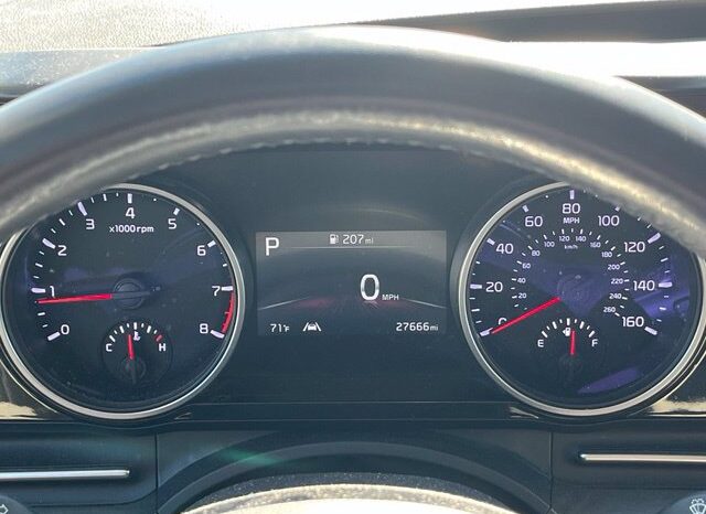 
								Kia Carnival full									