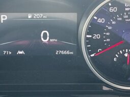 
										Kia Carnival full									