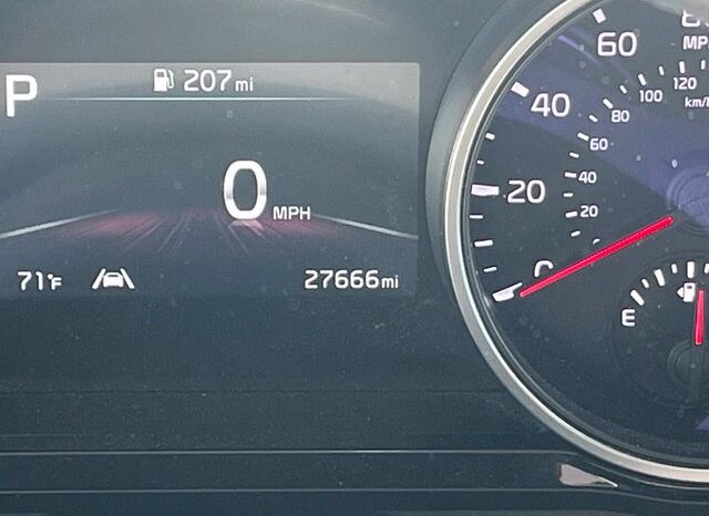 
								Kia Carnival full									