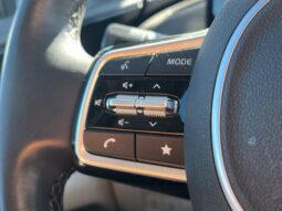 
										Kia Carnival full									