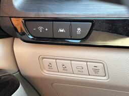 
										Kia Carnival full									