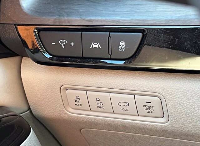 
								Kia Carnival full									