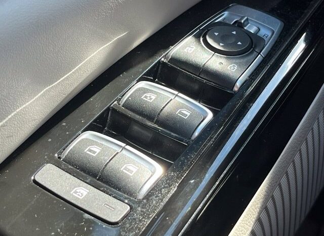
								Kia Carnival full									